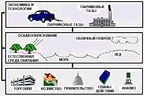 Доклад Биосфера Среды Жизни